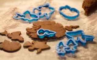 Jsou dvě věci, které máme opravdu rádi. Ty naše potvůrky v akváriích a... perníčky! 😁 A jelikož se pomalu blíží čas Vánoc,...